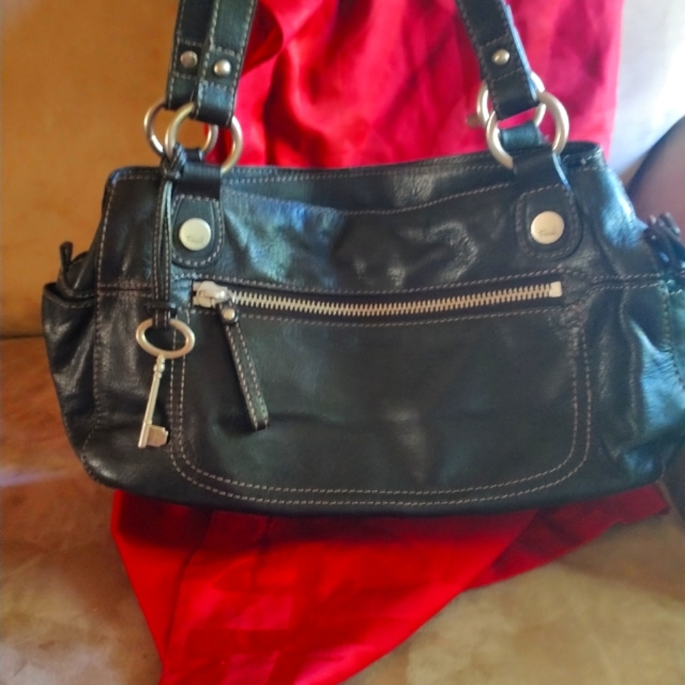 fossil purse
